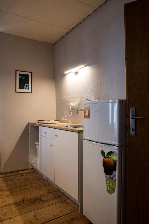 U Cerneho Kocoura A Zeleneho Stromu Homestay *