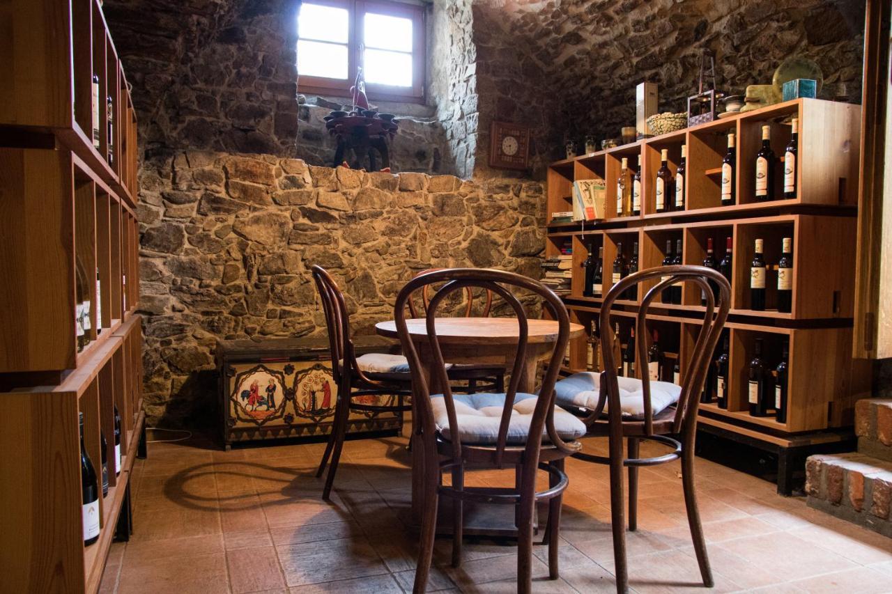 U Cerneho Kocoura A Zeleneho Stromu
